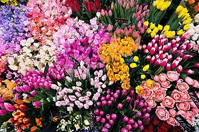 《七龙珠：破界斗士》第五赛季2月29日上线 新增跨平台联机